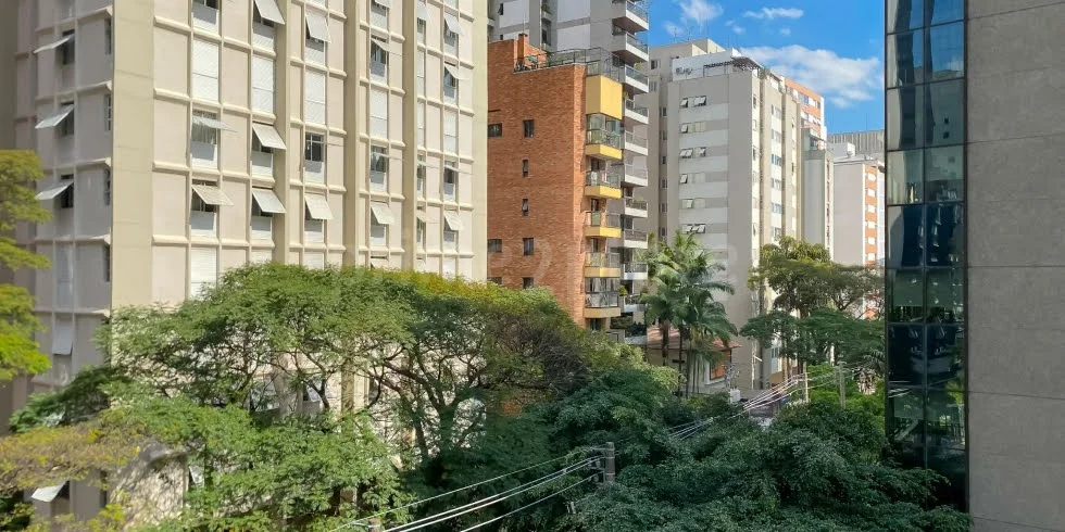 Paisagismo nos Bairros Nobres de São Paulo: A Natureza que Valoriza a Cidade